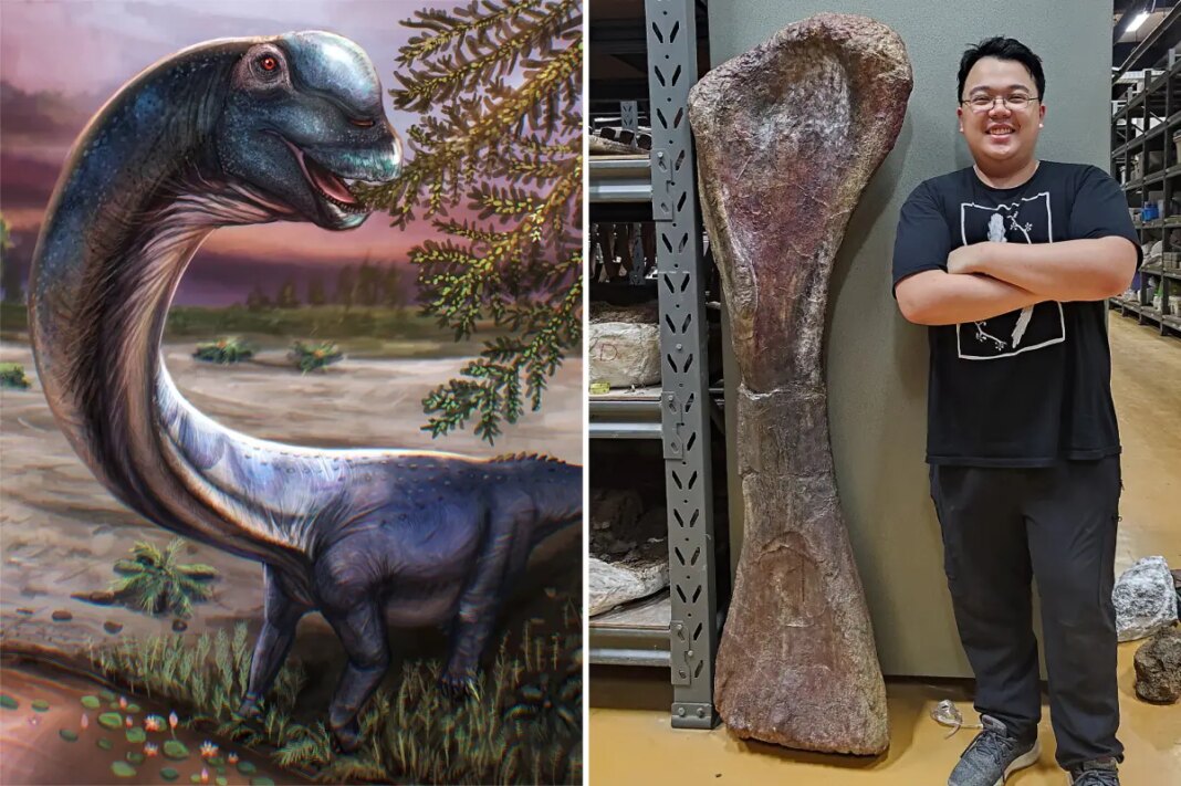 Scientists discover Southeast Asia's largest dinosaur in Thailand