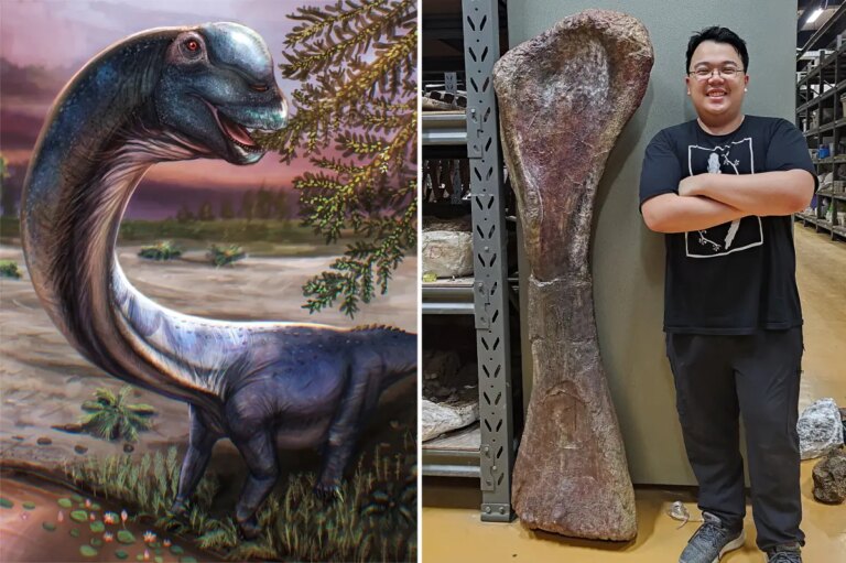 Unveiling the Titan: Southeast Asia’s Largest Dinosaur Unearthed in Thailand