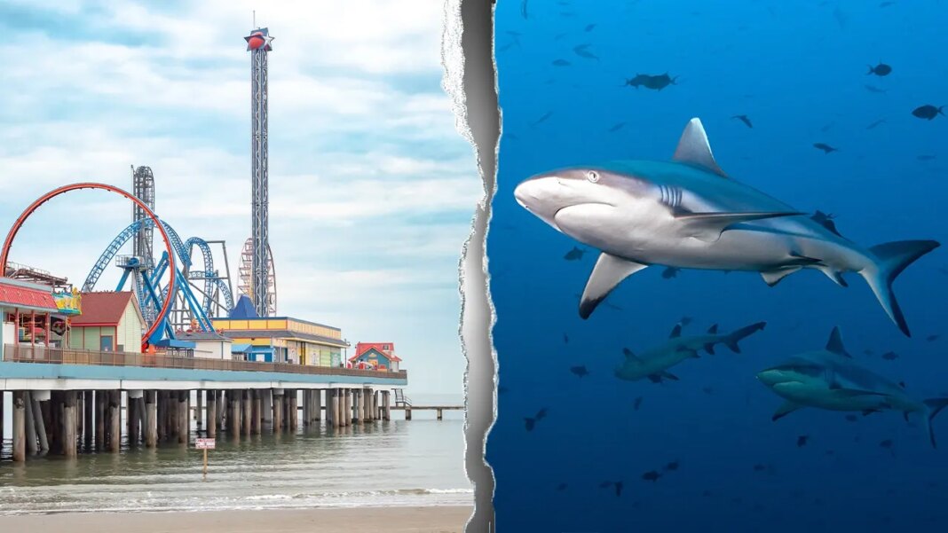 Shark attack turns holiday boating trip into bloody fight for teen’s survival