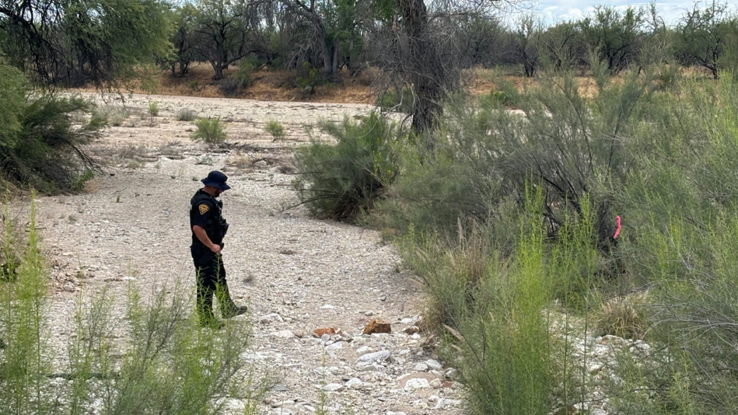Skeleton unearthed near Nancy Guthrie search site believed to be up to 1,000 years old, expert says