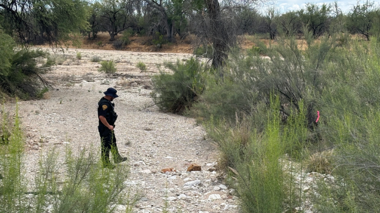 Ancient Discovery: 1,000-Year-Old Skeleton Found Near Nancy Guthrie Search Site