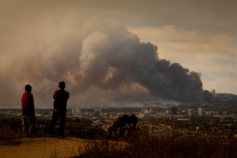 State Farm Hit with Multimillion-Dollar Fines Over LA Wildfire Claim Management