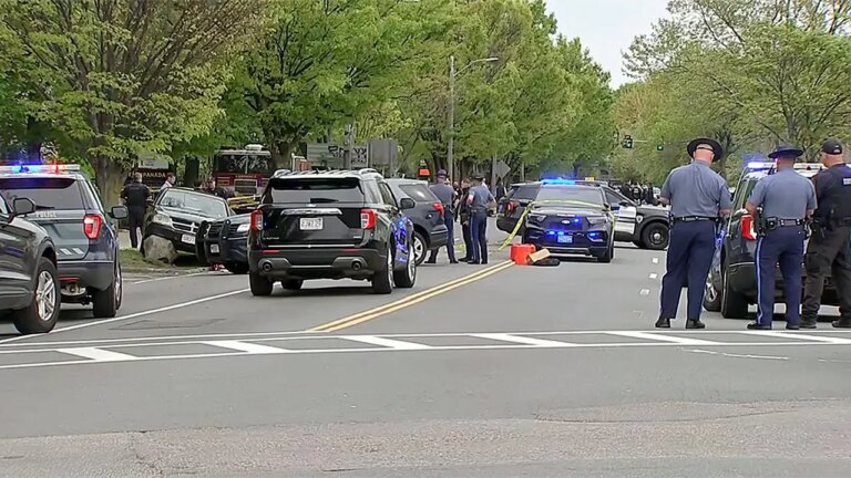 Outrage Erupts as Alleged Gunman with Criminal Past Targets Drivers in Roadway Shooting