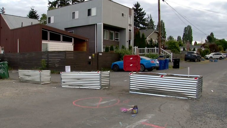 Residents Erect Massive Barricades to Combat Crime Surge in Urban Area