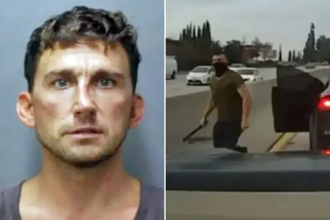 Tesla road-rager sentenced to seven years in prison after attacking mom and teen in Hawaii