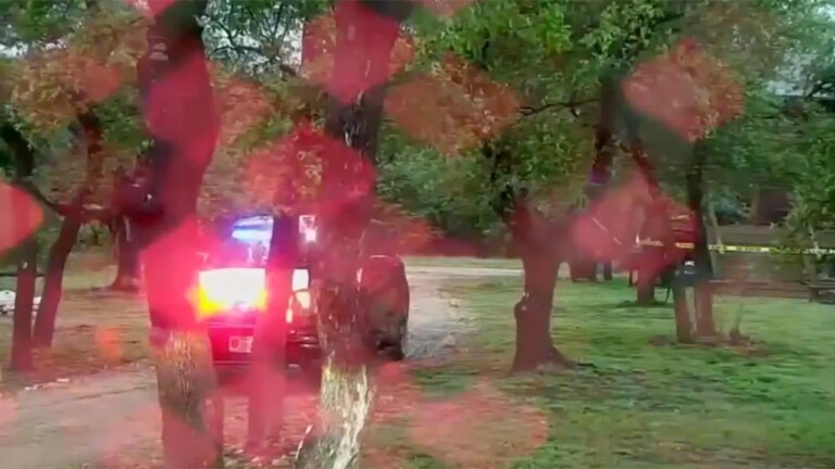 Tragic Texas Cessna Plane Crash Claims 5 Lives: NTSB Launches Investigation