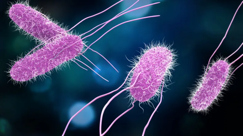 The food recalls, alerts issued over salmonella concerns this month