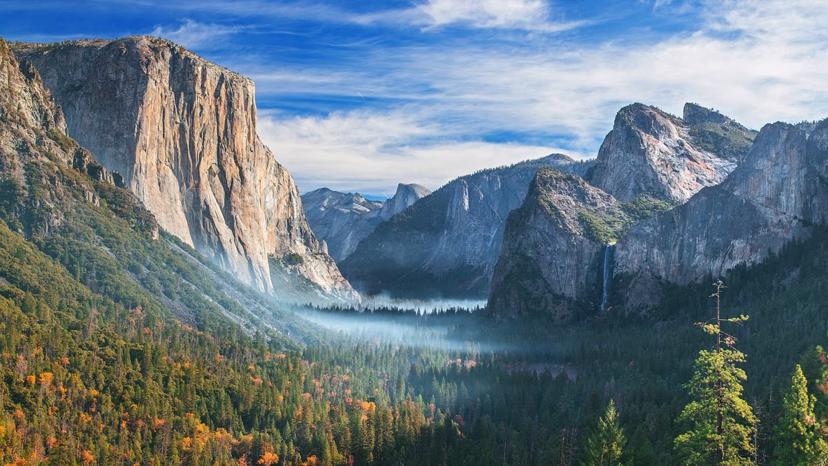 The forgotten rat virus outbreak that ravaged beauty spot