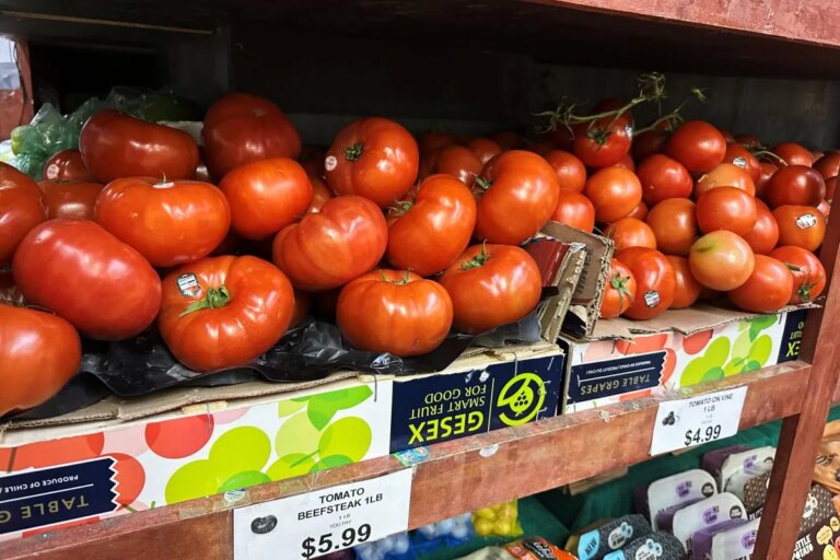 Tomato Prices Highlight Growing Concerns Over U.S. Cost of Living