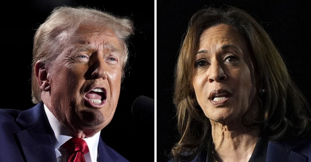 Trump glosses over massive detail in Central Park 5 lawsuit