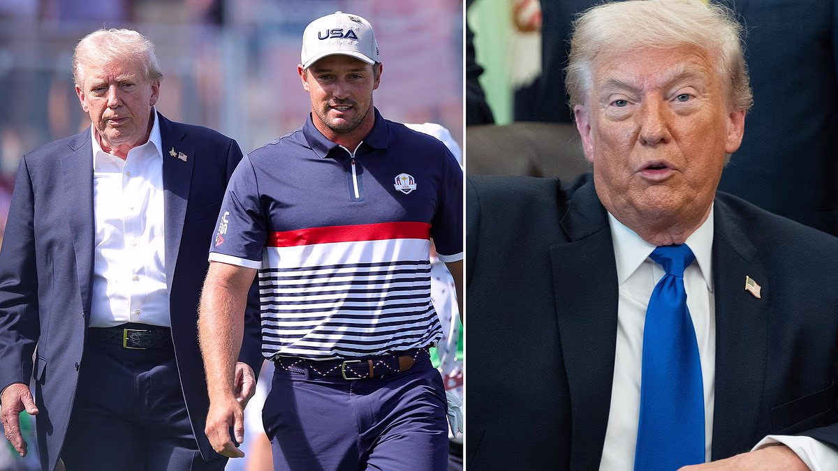Trump weighs in on LIV Golf stars scrambling to return to the PGA Tour after Saudi pulls plug on rebel circuit