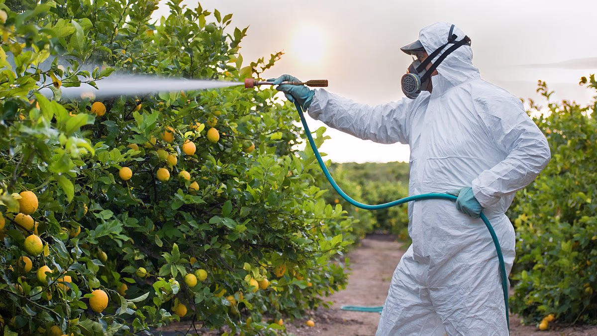 US State becomes the first to ban chemical linked to Parkinson's
