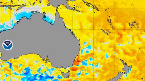Warmer sea temperatures off the Tasman Sea are continuing to have surprise impacts on Sydney's weather.