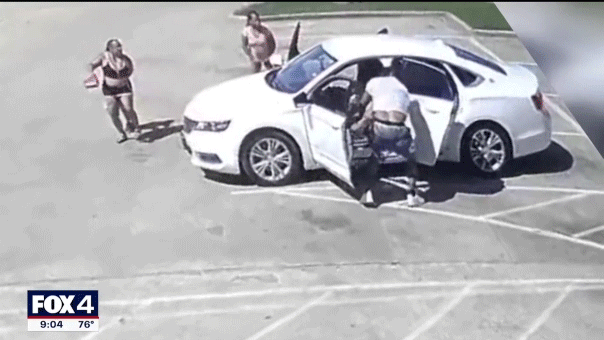 Video shows father fatally shooting illegal immigrant attempting to carjack family of 8: police