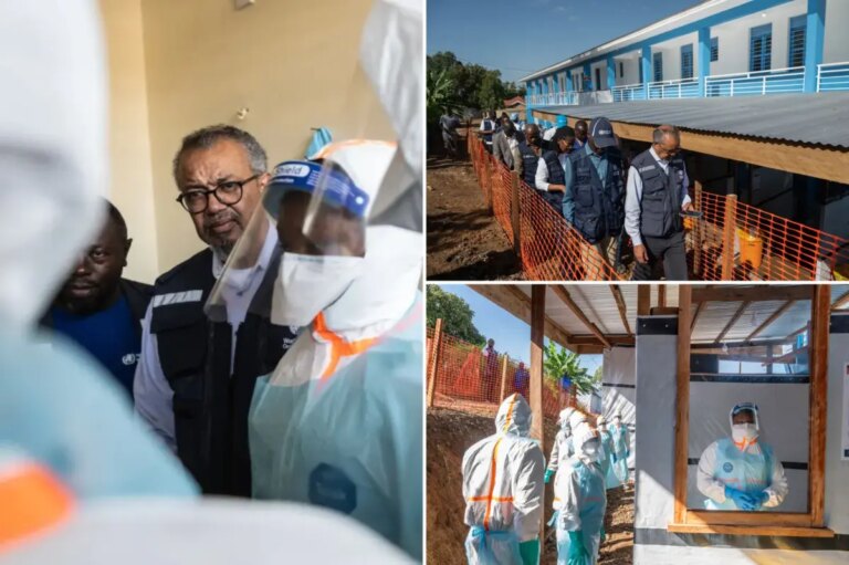 Breakthrough Recovery: 5 Patients Beat Rare Ebola Strain Amidst Congo Crisis – WHO Reports