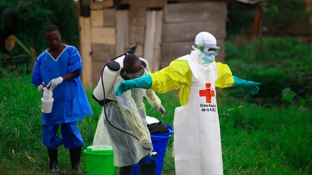 WHO declares Ebola outbreak in Central Africa a public health emergency after 80 suspected deaths