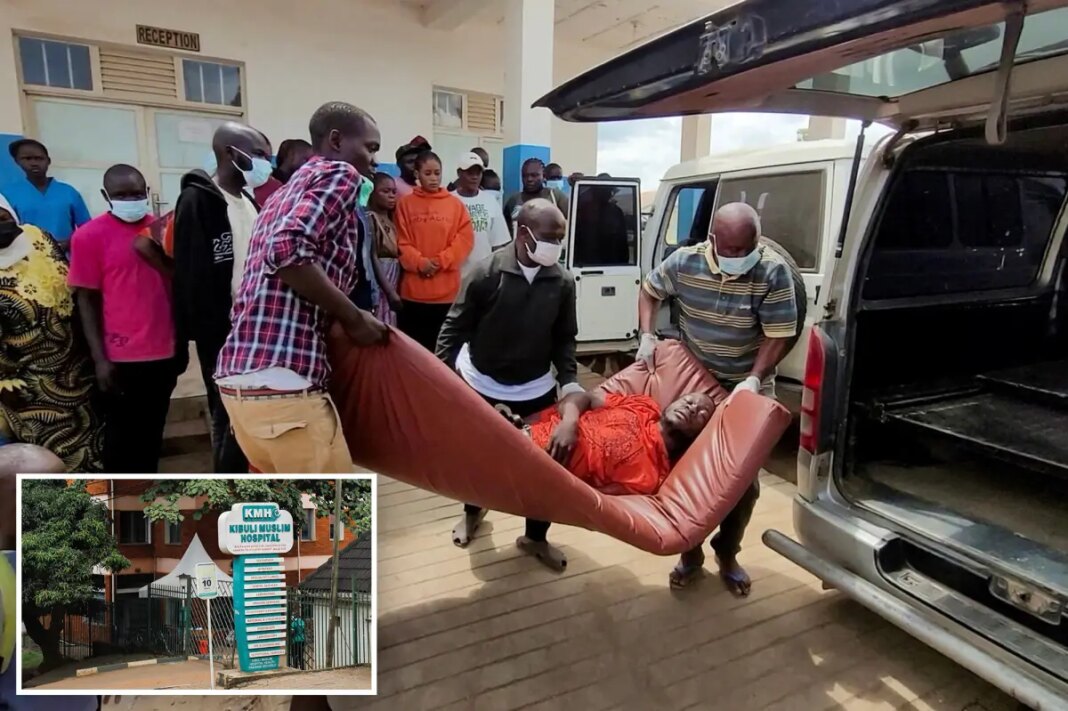WHO sounds alarm 'extraordinary' Ebola strain spreading central Africa without vaccine