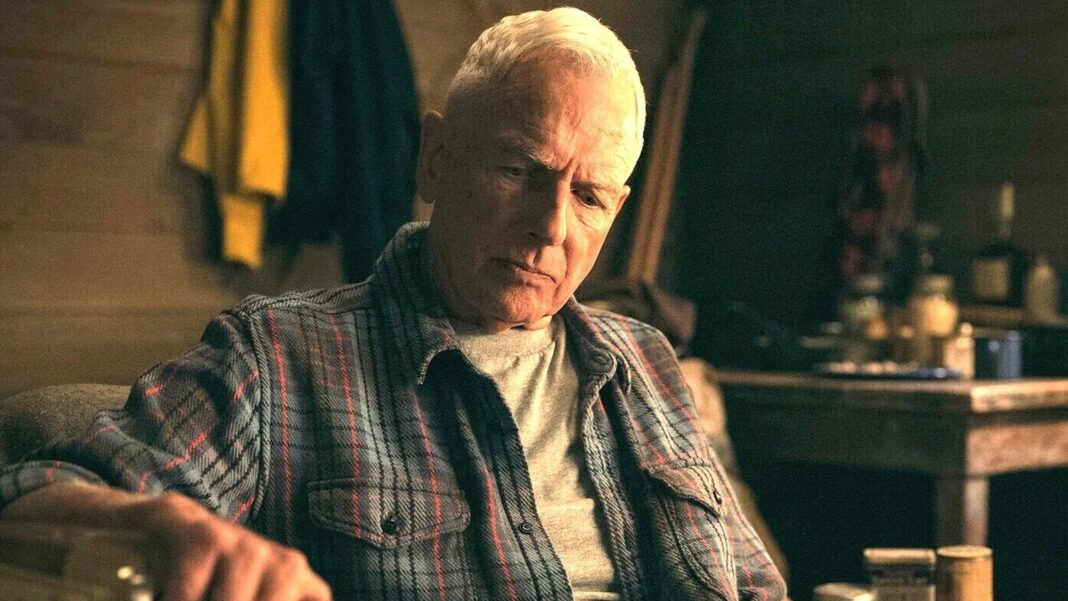 What NCIS' Gibbs Has Named His Dog, According To Mark Harmon