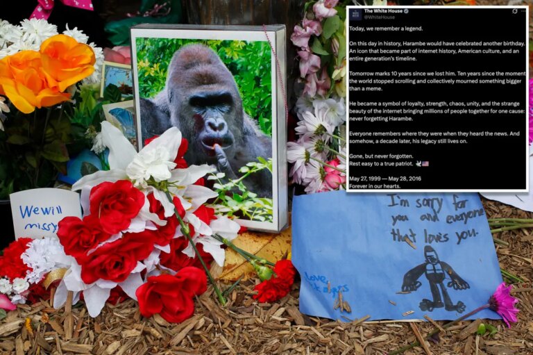 White House Honors Harambe as a ‘True Patriot’ on His 27th Birthday in Unusual Tribute