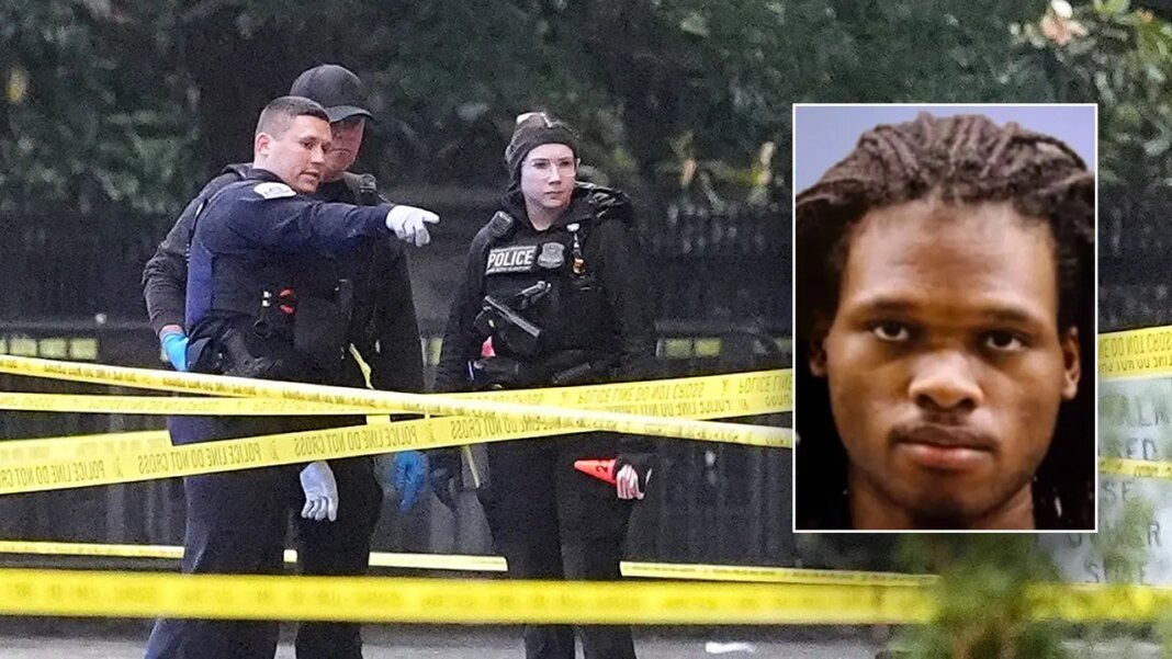 White House gunman had criminal record, history of mental health issues