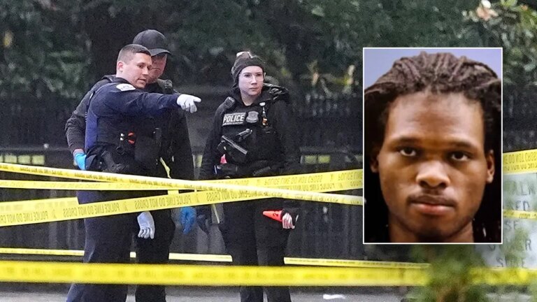 White House Gunman with Criminal Background and Mental Health History Sparks National Security Concerns