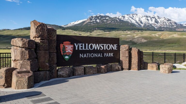 Bear Attack Shocks Visitors on Mystic Falls Trail: Urgent Safety Tips for Exploring Yellowstone