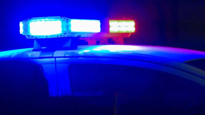 5 arrested, charged following search warrant execution in McCalla