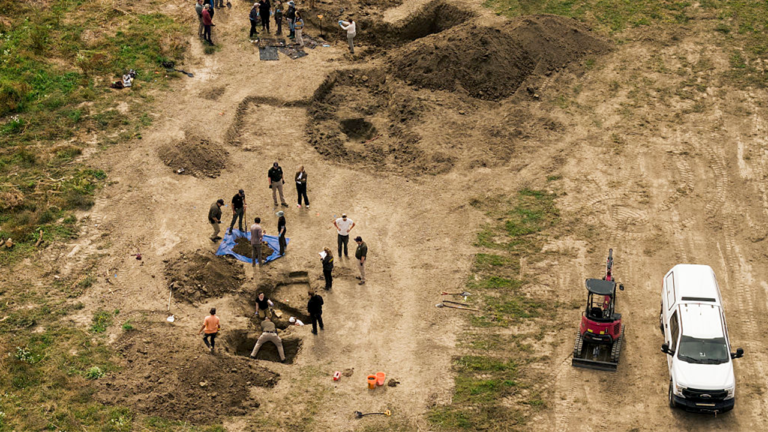 California Dog Rescue Conceals Discovery of Over 100 Dogs Buried On-site