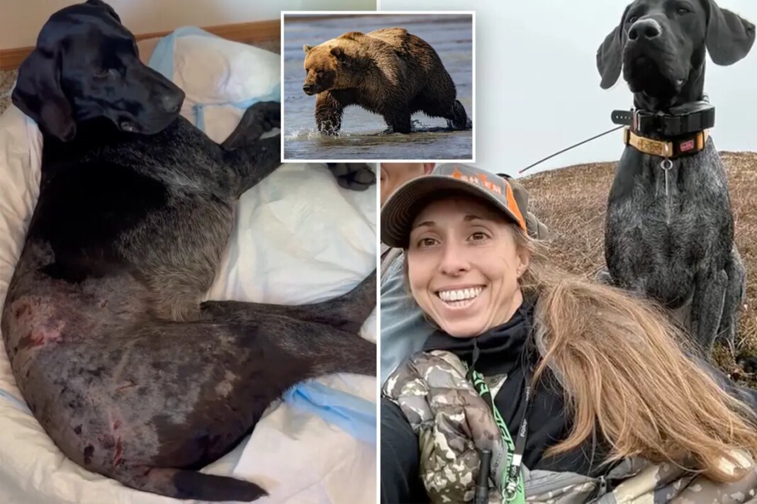 Alaska woman Lori Price uses weapon to survive terrifying bear attack after predator mauls pooch: 'I thought I was dead'