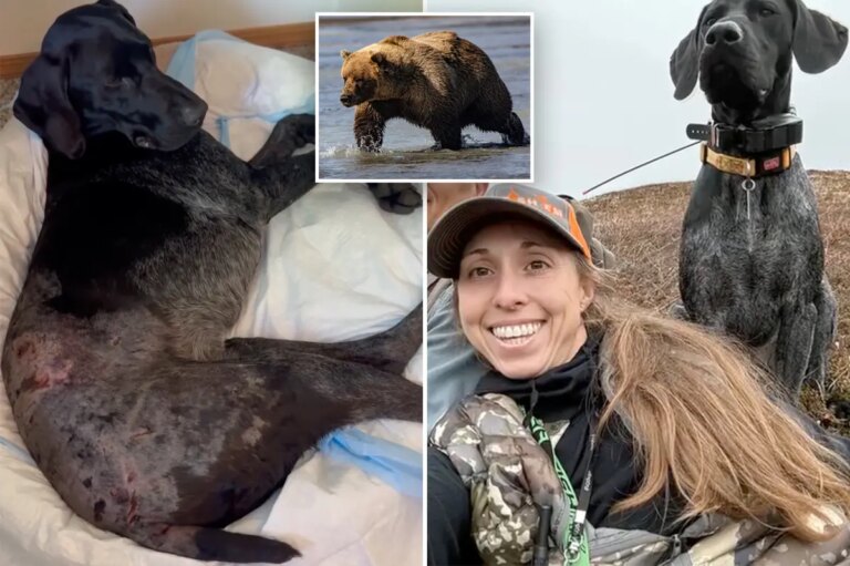 Alaska Woman Lori Price Heroically Fends Off Bear Attack with Weapon to Save Herself and Dog