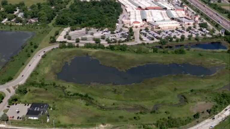 Tragic Discovery: Body Found in Aurora Retention Pond Amid Search for Missing Woman Shafia Murad