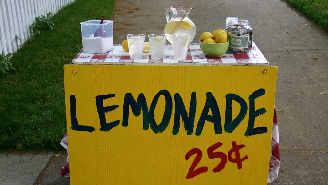 Boston police investigate armed robbery of children's lemonade stand by suspects as young as 11