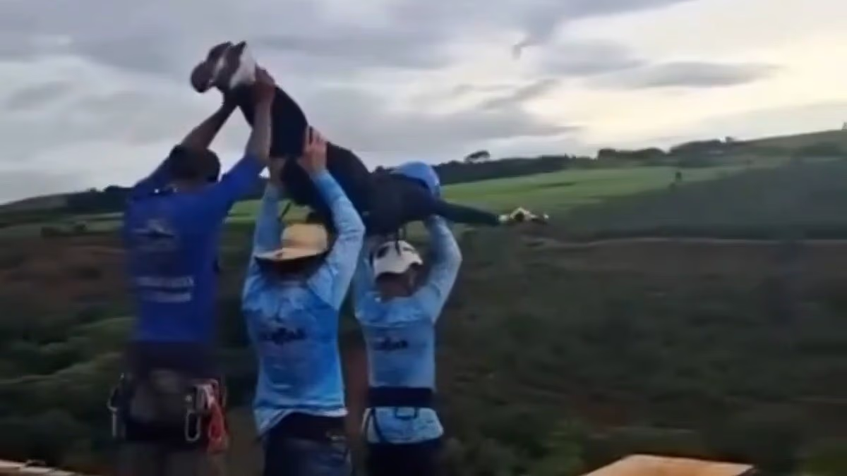 Bungee jump workers interrogated after throwing woman to death