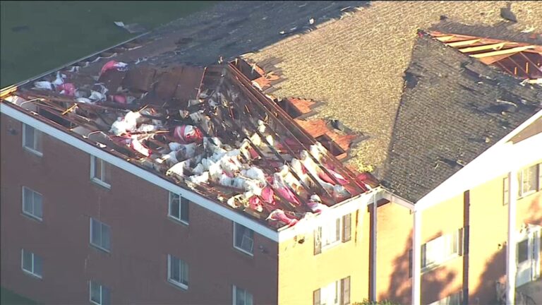 Tornadoes Ravage Chicago Area, Causing Widespread Damage in Streator and Northwest Indiana