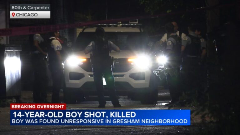 Tragic Incident: Teenager Fatally Shot in Chicago’s Gresham Neighborhood