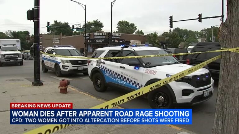 Tragic Humboldt Park Shooting: Woman Fatally Shot Near Chicago Avenue, One Suspect in Custody