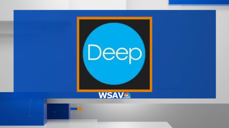 Deep Center Collaborates with Community Partners to Host Town Hall on Reentry Reform