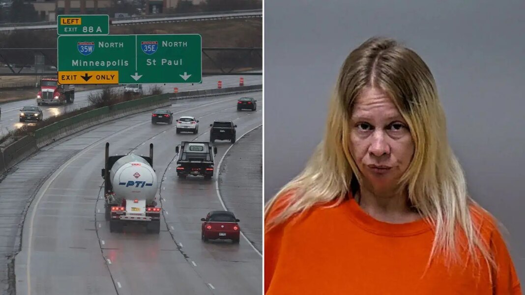 Driver accused of killing 82-year-old in head-on crash claims her dog seized the steering wheel beforehand