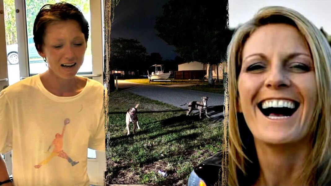 Florida woman mauled to death by dogs that had allegedly terrorized neighborhood, owner charged in killing