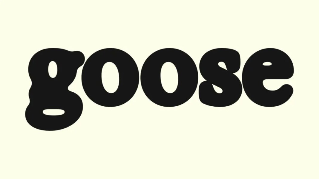 Goose dating app launches as alternative to Grindr