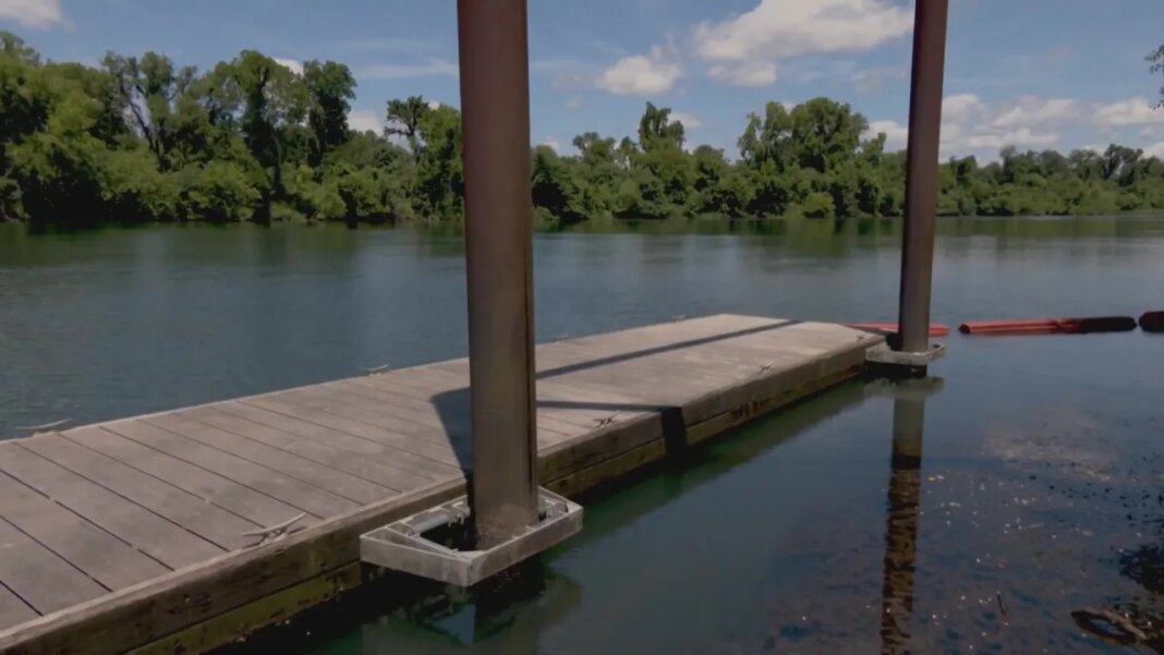 Here's an update on recent E. coli levels in Savannah River water samples
