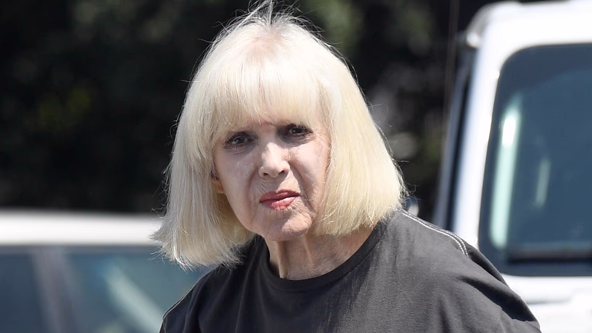 Hollywood icon, 85, who starred with Dick Van Dyke seen in rare outing