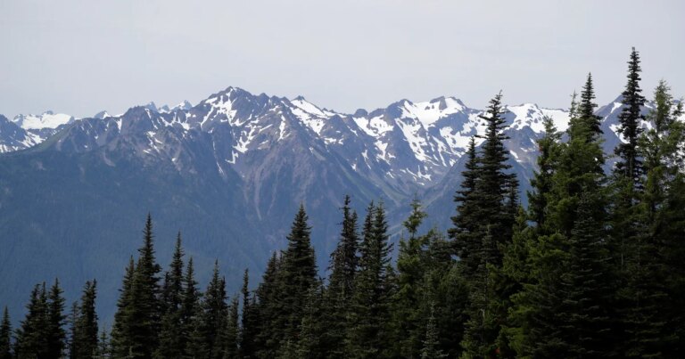 Cold Case Breakthrough: Human Remains Discovered in National Park Sleeping Bag Identified After 26 Years