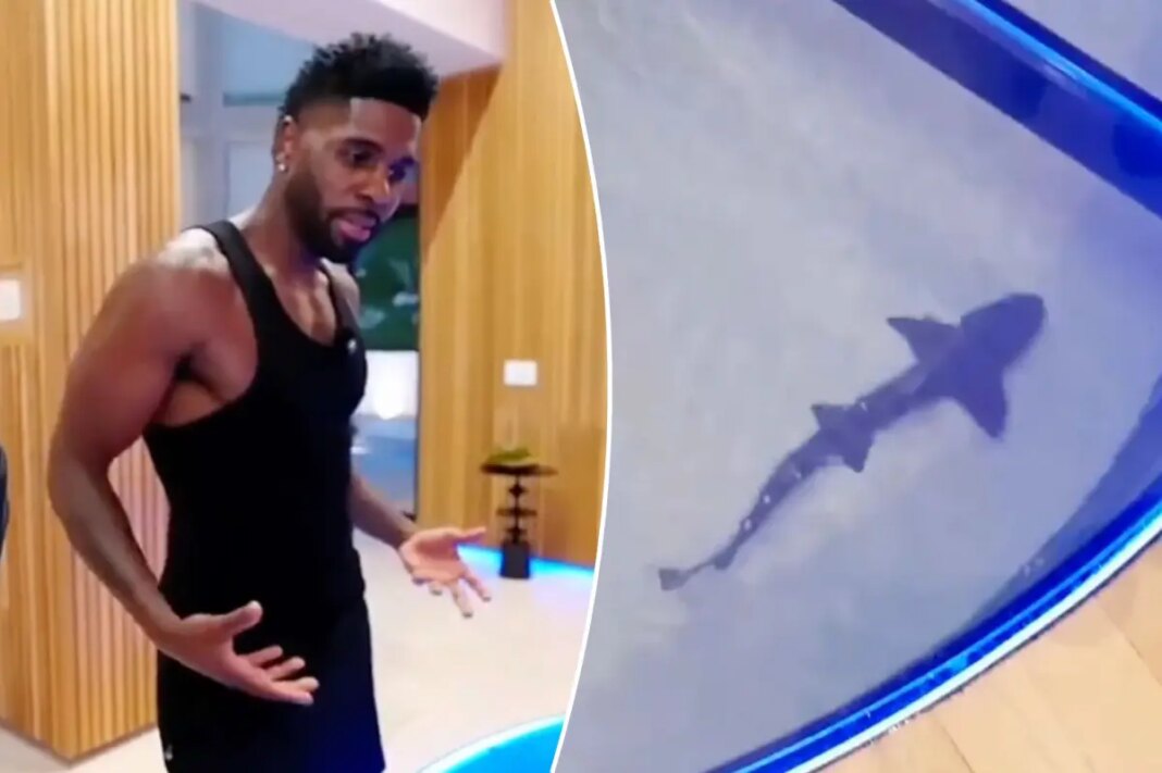 Jason Derulo faces backlash over $1M shark tank in his California home