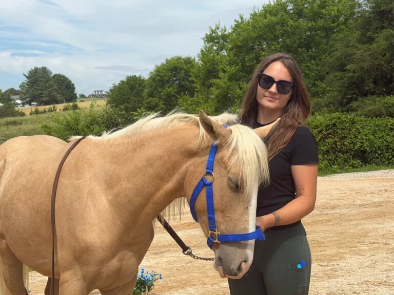 Historic Farm Revitalized by Innovative Jonesborough Horse Trainer