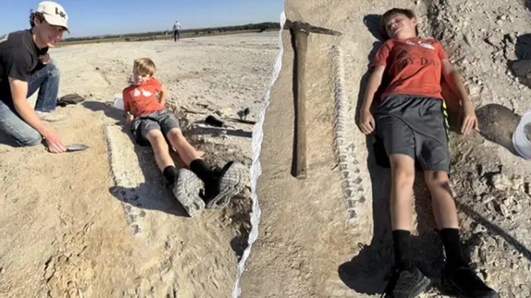Kansas boy discovers 15-foot marine reptile fossil from 85 million years ago during geology field trip