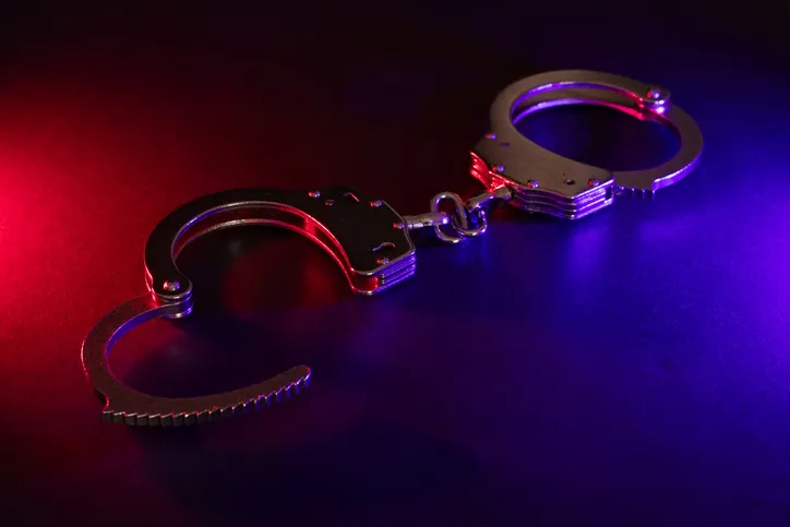 Law enforcement arrests suspect out of Burke County after pursuit, RCSO and BCSO says
