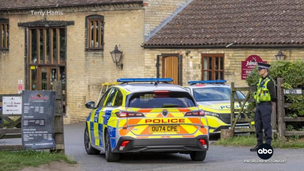Man arrested after 3-year-old boy critically injured in crocodile enclosure at England zoo: Police