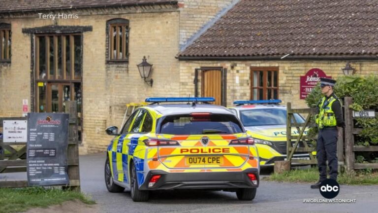 3-Year-Old Critically Injured in Crocodile Enclosure Incident at UK Zoo: Suspect Arrested