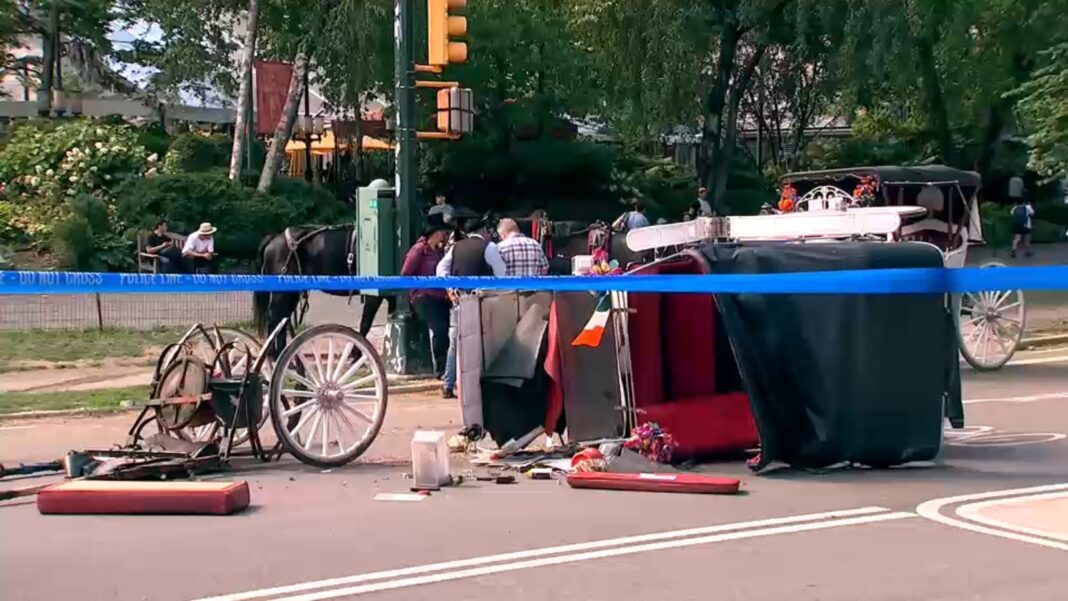 Man dies after carriage horse gets loose in New York City's Central Park, crash